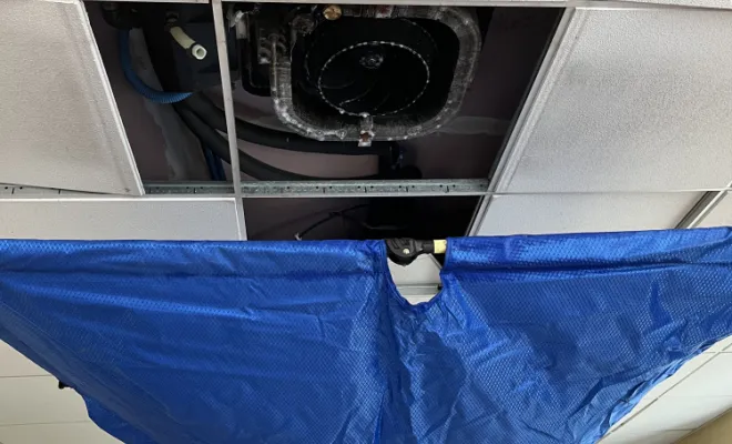 Une bonne pulvérisation adéquate et tout se rétablit